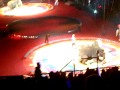 Elephants
