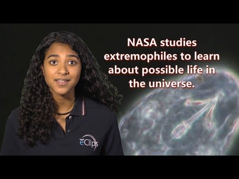 Our World: What is an Extremophile?