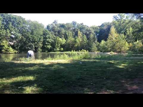 Bloomfield NJ Clark’s Pond