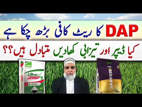 Alternates of DAP fertilizer || Status of Acidic fertilizers || Crop Reformer