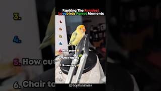 Download lagu #filterchallenge mp3