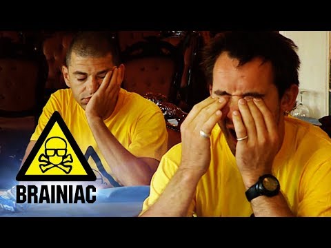What is the Best Hangover Cure? | Brainiac