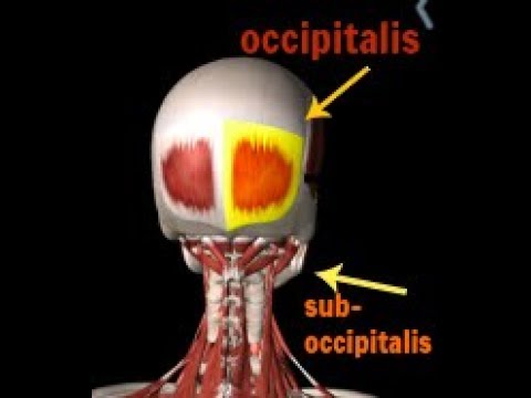 Best 3 Exercises for Headache & Jaw pain TMJ