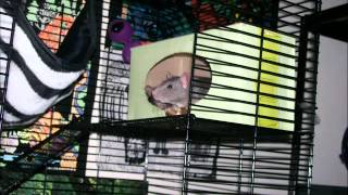 Buttons: Life, Death, Grief, Transcendence!