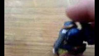 preview picture of video 'warhammer 40k the killer tyanid (part 1)'