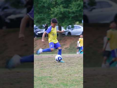  Whatsapp sales group Campo Grande MS