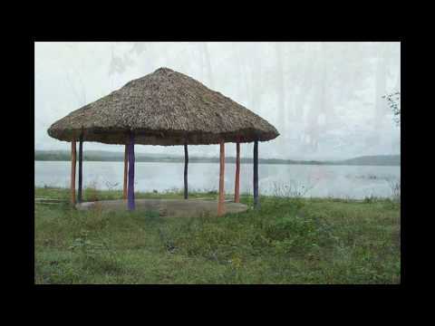 Grupo 15 - La Lluvia, el parque y otras cosas