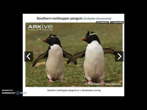 60 Seconds With your Coach. Jennifer Serravallo Writing Strategy