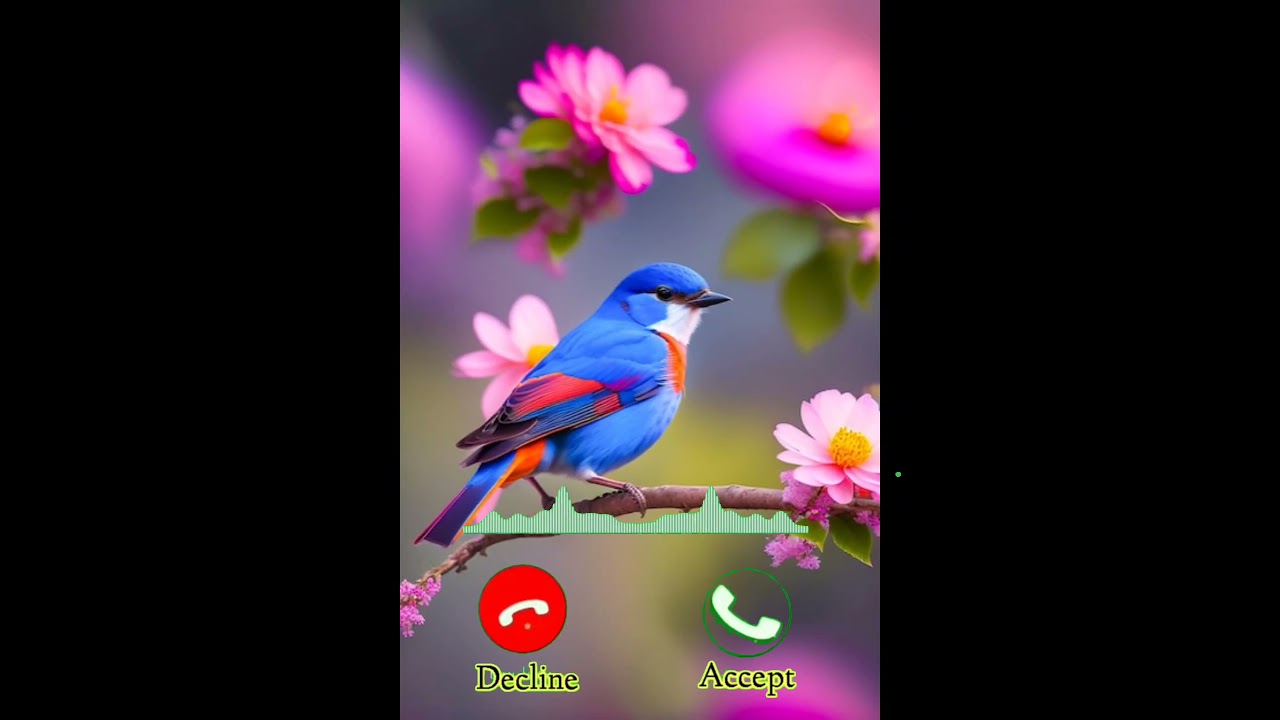 Birds Ringtone 2024. Viral Tone Birds Ringtone.