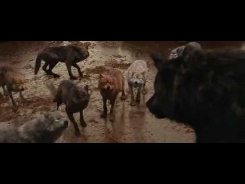 Twilight Breaking Dawn Part 1 Talking Wolves