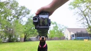 The Nikon Z6-3 Grand Finale