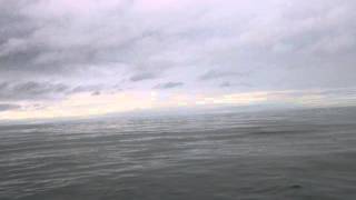 My Electricity (The Gathering) acoustic