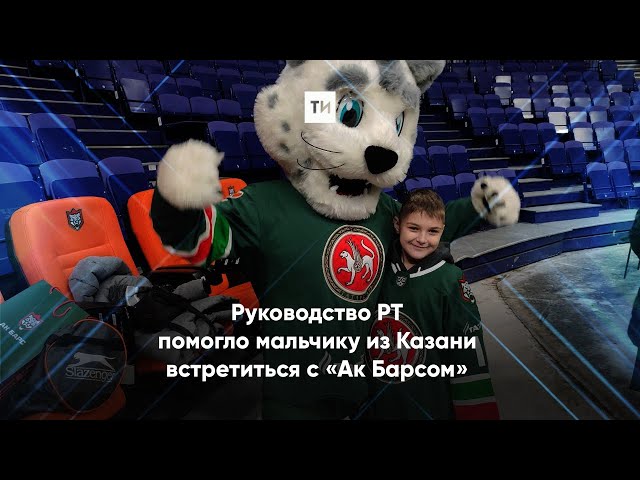 Кабмин РТ исполнил новогоднее желание мальчика из Казани