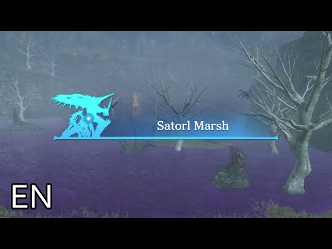 Xenoblade Chronicles Definitive Edition Cutscene 044 – Enter Satorl Marsh – ENGLISH