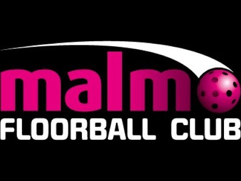 En dag med Malmö FBC herr