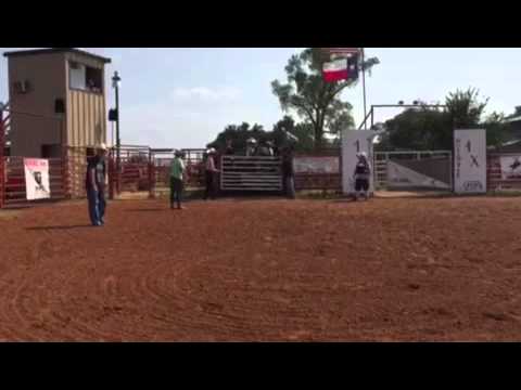 Backwards Bobby - 4x Bucking Bulls