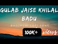 Gulab Jaise Khilal Badu Lofi Version Heroine WHO DESERVS Neelkamalsingh Slowed Reverb