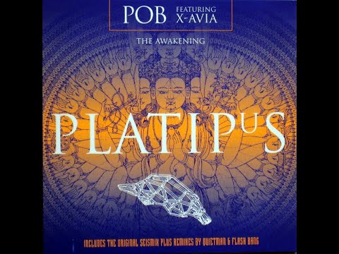POB Featuring X-Avia - The Awakening (Quietman Remix 1997)