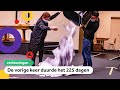 Wat gebeurt er nu de verkiezingsuitslag bekend is?