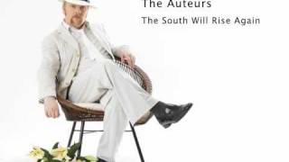The Auteurs - The South Will Rise Again