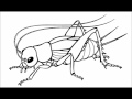 Insects are all around us (Edited Long Version) - Fun with Dick and Jane
