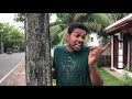 janai-priyai-gaha-22-06-2018