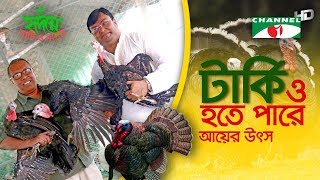 টার্কি পালন করে লাখপতি