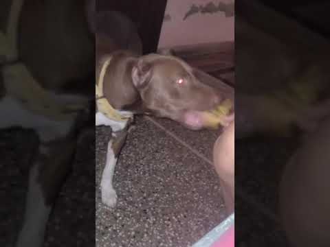 lunch time ⏲ 😋 🤗 😊 ☺ 😀 ⏲  lucy