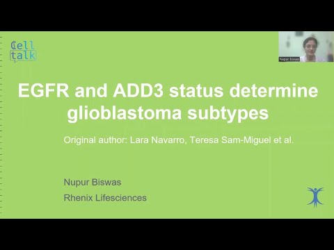 EGFR status determines GB subtypes | CellTalk
