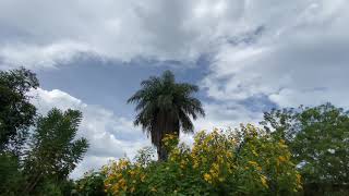 NO TE PARO BOLA - GRECIA DanceStyle Jorgeisai