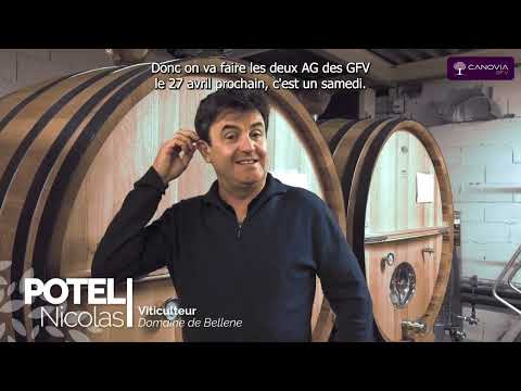 Rencontre avec les GFV Grands Bourgognes Bellene et Maison de Bellene