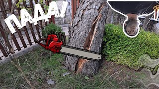TreeWork видео