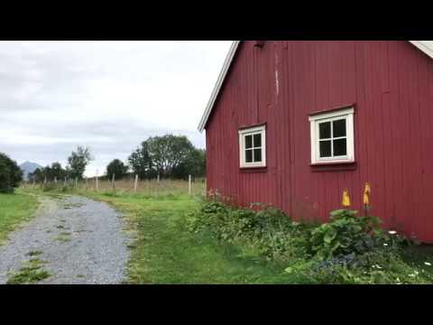 "Veanova" - Magnussen