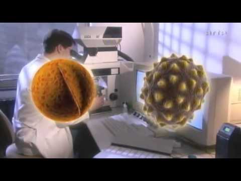 DOKU  Terra X   87   Der Riese Goliath   Auf den Spuren der Seevölker