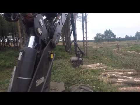 RJ Fukes - 6H GT GNF