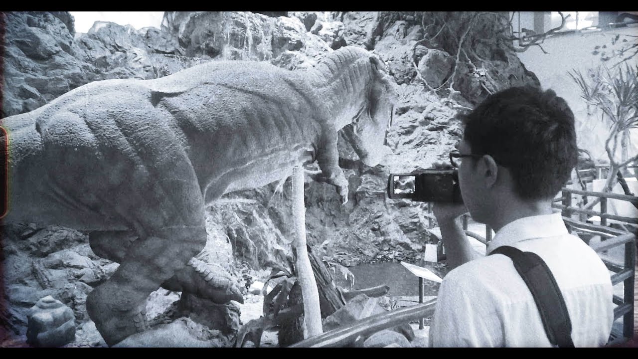 The Mudguard and a Lonely Monkey (Trailer)