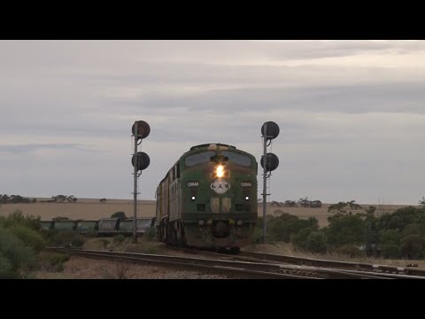 Australian Streamliner GM46 leads GWA Grain Train