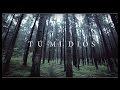Majo Solís - Tú Mi Dios (Lyrics Video) Majo Solís - Tú Mi Dios (Lyrics Video)