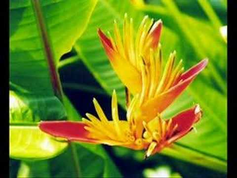 Der flotte Totte - all die Nostalgie