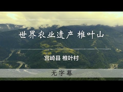 世界农业遗产 椎叶山　魅力传播宣传片（无字幕）