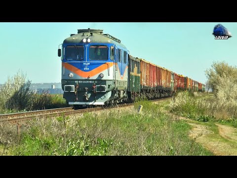 🚂 060-DA 60-0665-9 & Tren cu Lemne CER Fersped  Wood Train in Nojorid - 13 April 2022