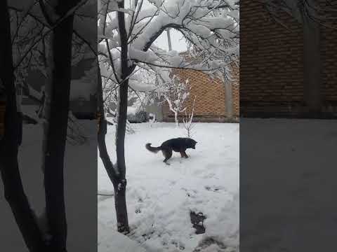 ۶ مارس ۲۰۲۴