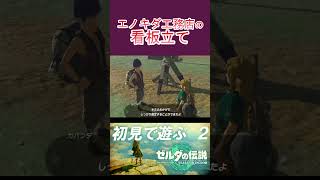 【ティアキン】看板立てのなんて大仕事を一人でなんかできるか、手伝うぜあんちゃん #shorts