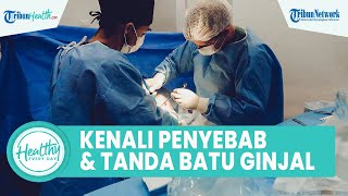 Pentingnya Menjaga Kesehatan Ginjal Sejak Dini, Kenali Penyebab dan Tanda Tubuh Alami Batu Ginjal