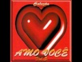 12 Mil Razões CD Amo Você Vol 5