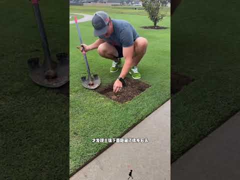 修复受损草坪专业手段就能看到满意效果