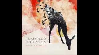 Trampled by Turtles - "Are You Behind the Shining Star?" [Audio]