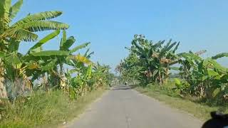 Download lagu TAYUB POPULER TERBARU 2025 - SRAMPAT , SAMPAK 6 , GONGGOMINO , TAYUB mp3