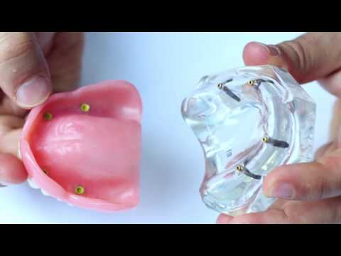 DENTAL GETAWAY with Dr Allen
