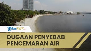 Ditemukan Kandungan Paracetamol di Teluk Jakarta, Peneliti Ungkap Dugaan Penyebabnya